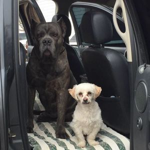 Meet your Posher, Lydia